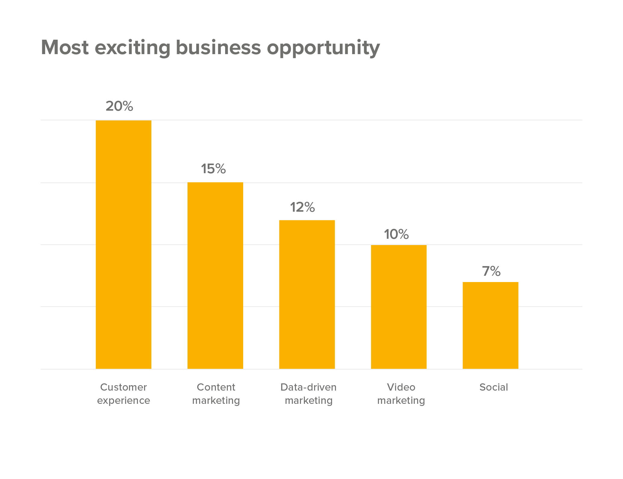 Most exciting business opportunity is customer experience