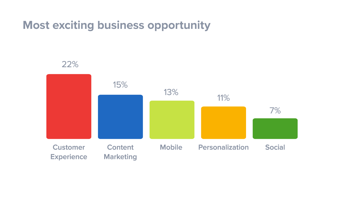 Most exciting business opportunity is customer experience