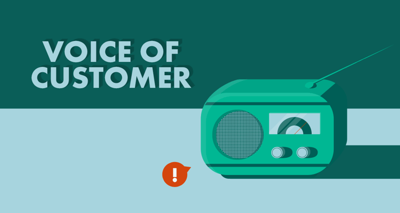 Voice of customer strategy