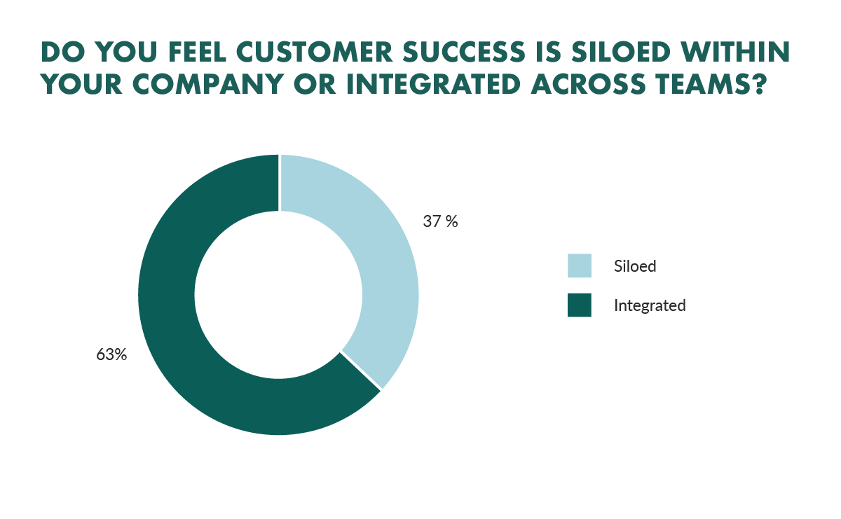 customer success adoption in saas