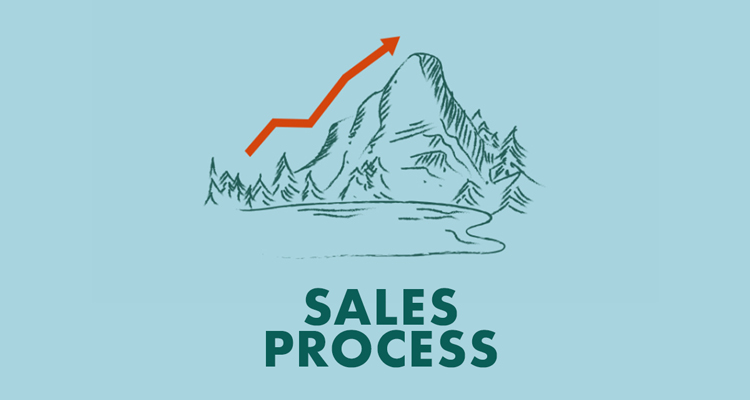 Sales process strategy
